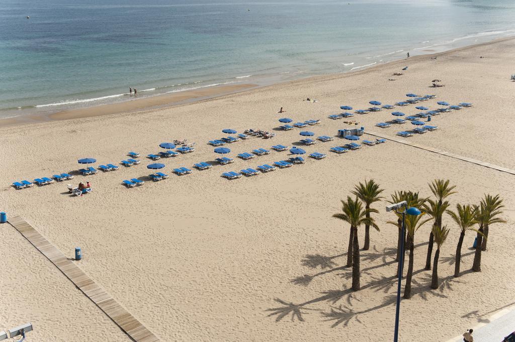 Hotel El Palmeral Benidorm Extérieur photo